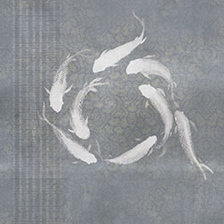 �F�\-ԭ�����Ʊڮ� CG-NDC5036