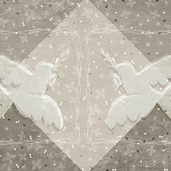 �ϙ�֦-ԭ�����Ʊڮ� CG-NDC5114