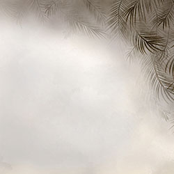 �Pβ-ԭ�����Ʊڮ� CG-NDC5161