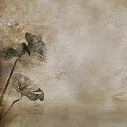 ������-ԭ��(chu��ng)���Ʊڮ�(hu��) CG-NDC5169