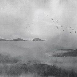 ɽˮ-ԭ��(chu��ng)���Ʊڮ�(hu��) CG-NDC5170