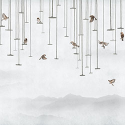 �Ļ�-ԭ��(chu��ng)���Ʊڮ� CG-NDC5235