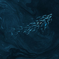 ���~Ϫ��-ԭ�����Ʊڮ� CG-NDC5239