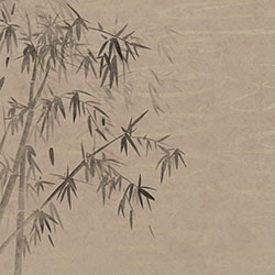 �P��-ԭ�����Ʊڮ� CG-NDC5249