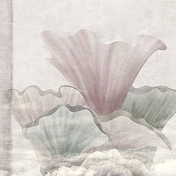 ���A-ԭ�����Ʊڮ� CG-NDC5034