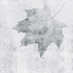 ���~-ԭ�����Ʊڮ� CG-NDC5050