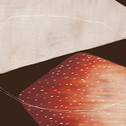 ��ʯ-ԭ�����Ʊڮ� CG-NDC5056