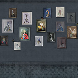 �R��F-ԭ�����Ʊڮ� CG-NDC5198