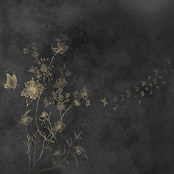 ��-ԭ��(chu��ng)���Ʊڮ�(hu��) CG-NDC5208