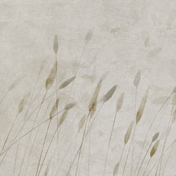 �uҷ-ԭ��(chu��ng)���Ʊڮ�(hu��) CG-NDC5210