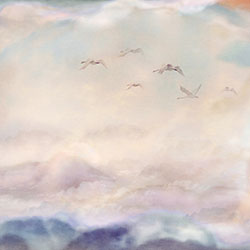 ���B-ԭ�����Ʊڮ� CG-NDC5214