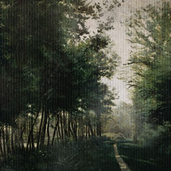 ����-ԭ�����Ʊڮ� CG-NDC5223