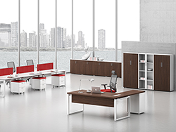 �F�����s�r�и��ņT���k���� CG-A1005