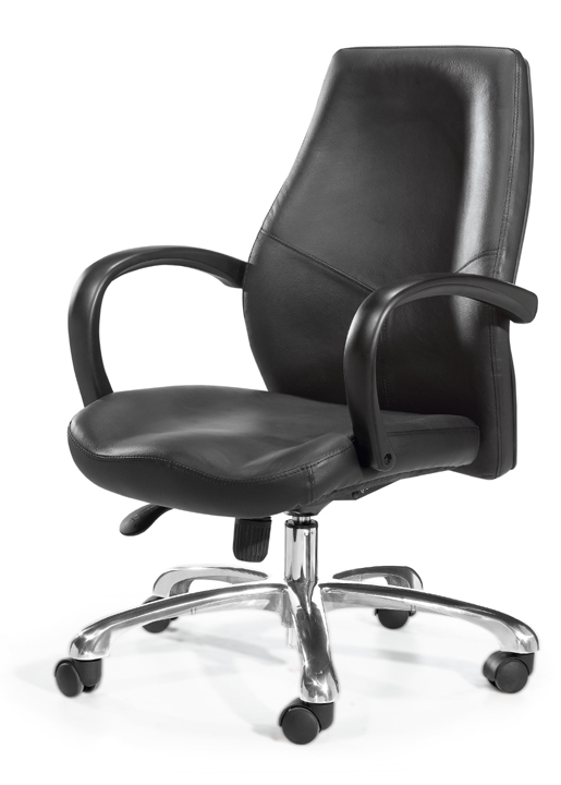 �k����|�F����Ƥ�а���|�k���Ҿ�|�F����Ƥ�а��� CG-EF0338ML-Z