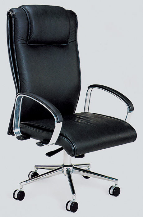 �k����|�F����Ƥ�����|�k���Ҿ�|��Ƥ�����|�r�д����|�߱���|�ϰ���|������|�������� CG-SSDBY-04