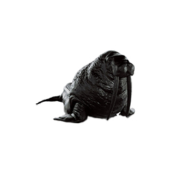 ������ CG-DW003