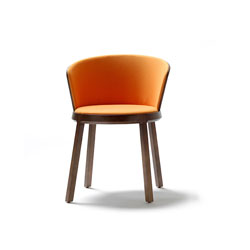 ���� CG-TM1009