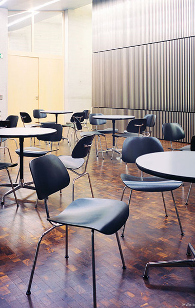 �F(xi��n)����(j��ng)������|����|�k���Ҿ�|���_