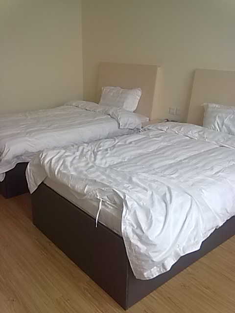 �����f�����F�k���Ҿ߹��̰���չʾ