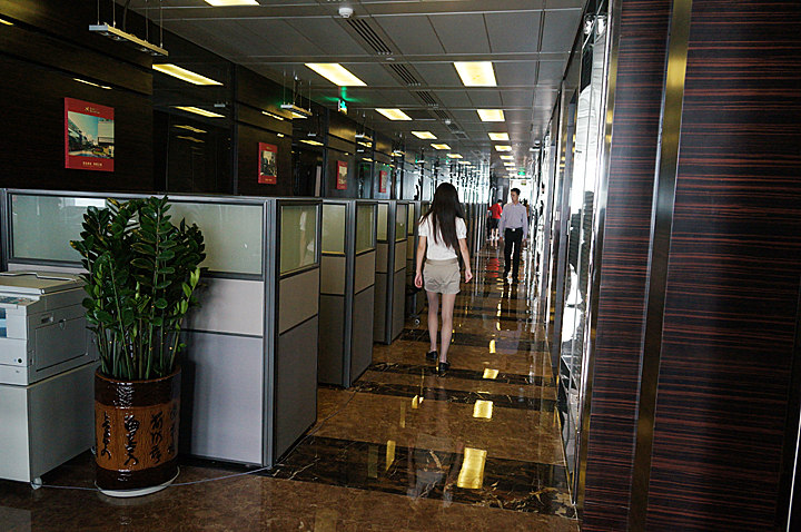 ���������F�T�k���^(q��)